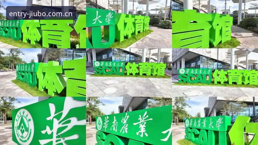 九博体育无缝登录使用指南 九博体育无缝登录使用指南详解