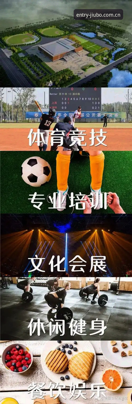 九博体育客户端 九博体育平台功能详解:从下载到观赛的完整攻略